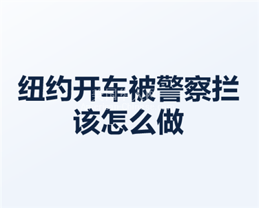 NY布鲁克林路边被警察拦下 (Pull Over)怎么办？？？