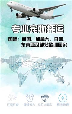 OC尔湾招聘宠物国际运输代理 独家资源 国内发国外